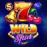 Slot Wild Spin